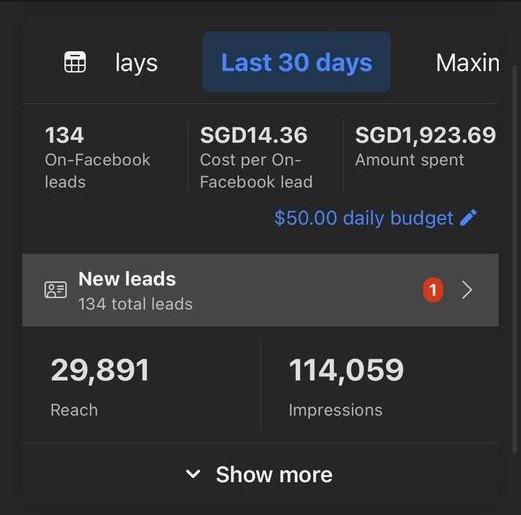 Ads Manager results: 134 leads at SGD 14.36 each